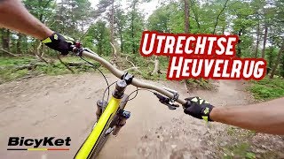 Flowy Singletrack Heaven @ Utrechtse Heuvelrug