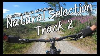 New Llandegla Black Trail - Track 2 Natural...