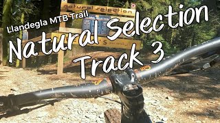 Llandegla Track 3 - NEW Black Trail - Natural...