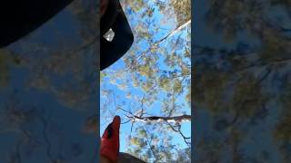 Crashing  #mtb #crash #asmr #gopro