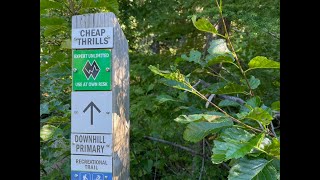 Cheap Thrills In Whistler BC Mountain Biking...