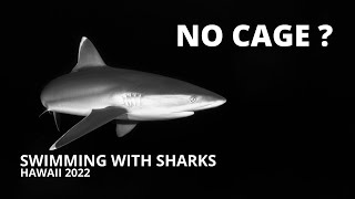 VLOG 12  Cageless Shark Dive With One Ocean...