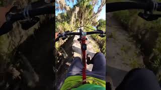 Jungle MTB #mountainbike