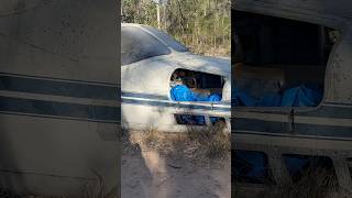Crashed plane #plane #crash