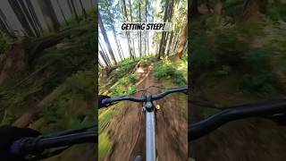 Chute-ing down the trail.