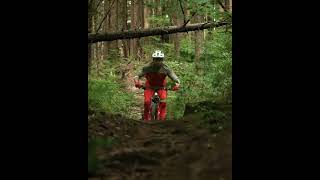 Trail bikes these days