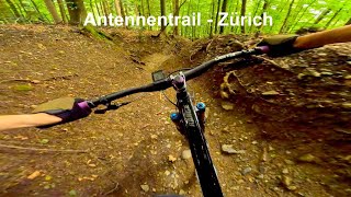 Sick Enduro trail from the top of Zurich  |...