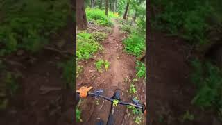 When you really like hopping over stumps #mtb