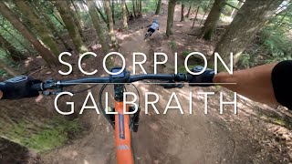 Scorpion - Galbraith Mountain - Bellingham,...