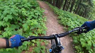 Iron Mountain - Millie Hill - Berm Cruise MTB...