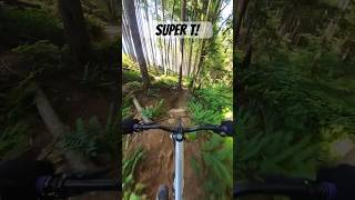 I love this trail.