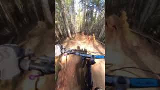 Whistler Blue Trails are Insane!