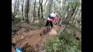Volly Day - TransNZ Craigieburn 2023