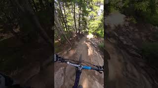 Whistler Double Black Tech!