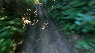 VTT Arbas 29 07 23