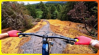 Riding Dusty Forbidden Trails On Vancouver Island!