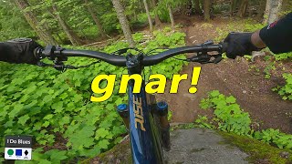 Nelson is GNARLY!!!