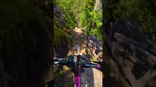 This Bridge was the Easy Part
