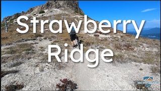 Best MTB Trail in the World! (According to...