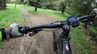 STONER  - Mottolino Livigno (SO)