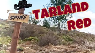Spine - Tarland Red Mountain bike Trail...