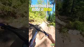 it was fun until my wheel broke…