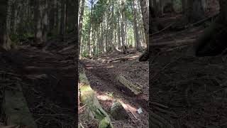 Dirt Surfing #mtb