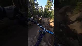 Whistler is Amazing