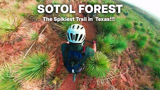 MTB Sotol Forest - The Spikiest Trail in...