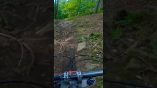 Loamy Rocky Goodness 