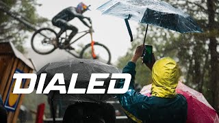 DIALED S5-EP24: The most dedicated fans in...