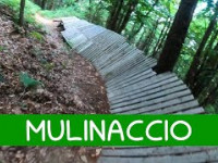 MTB Montalbano 06.08.2023 sentiero MULINACCIO