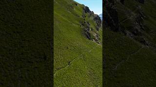 What a trail!