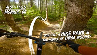 In Search Of Oregon's Best MTB Trails: Alsea Falls