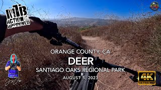 MTB Riding Deer at The Oaks, August 5, 2023...