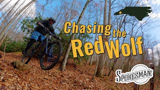 Chasing the Red Wolf