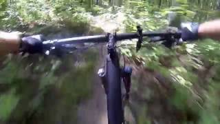 The Chute trail - Kolapore September 2016