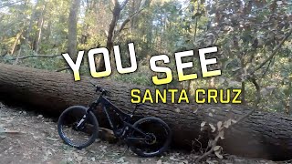 YouSee Santa Cruz