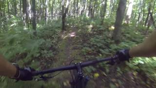 Flying Mouse Kolapore Sept 25 2016