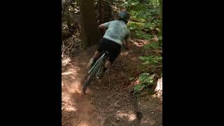 Are hardtails more fun?