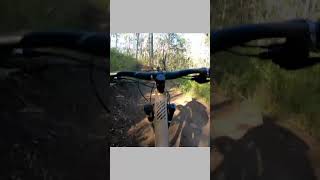In the wilderness  #shorts