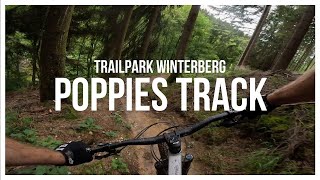 Trailpark Winterberg - Poppies Track | Canyon...