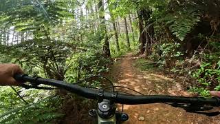Stubbe @ Fourforty MTB Park