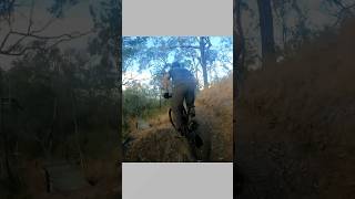Big drop at the end #drop #shorts