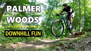 Palmer Woods Mountain Bike Trail - Some of the...
