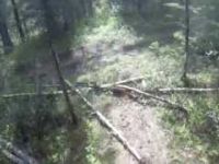 High Froelher EPIC DOWNHILL