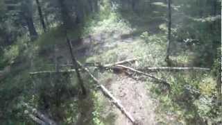 High Froelher EPIC DOWNHILL