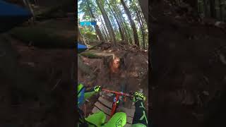 One Trick Pony trail