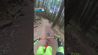 Half Nelson trail