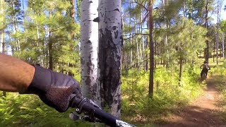Los Burros Trail #631